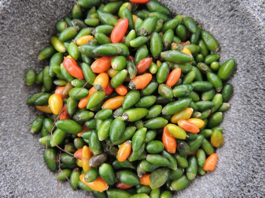 Plant dish food produce Photo