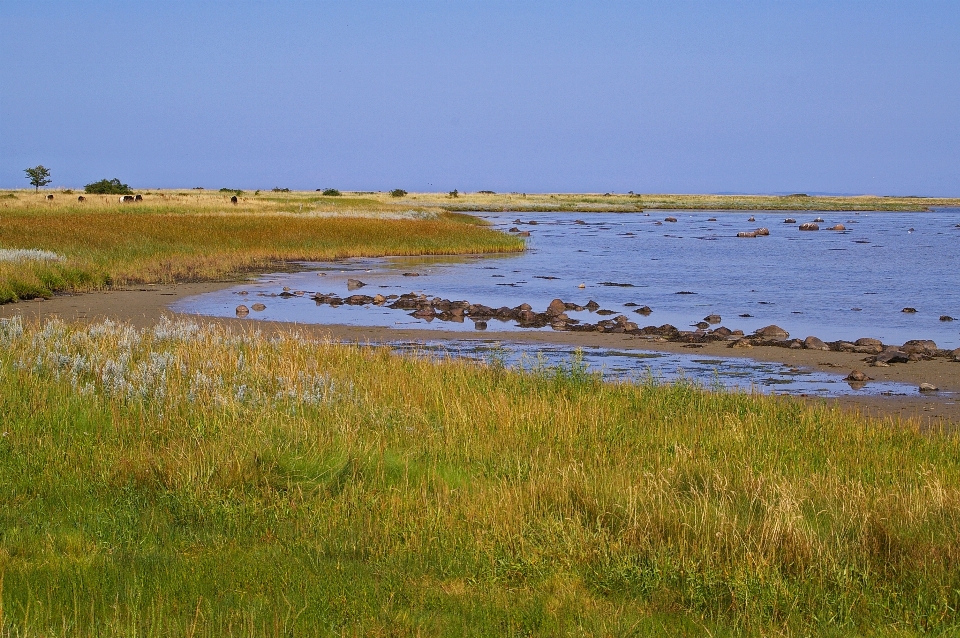 海滩 景观 海 海岸