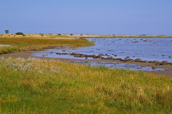 Beach landscape sea coast Photo