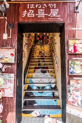 Nature architecture restaurant staircase Photo