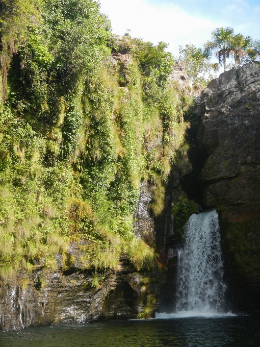 Paisagem árvore água natureza