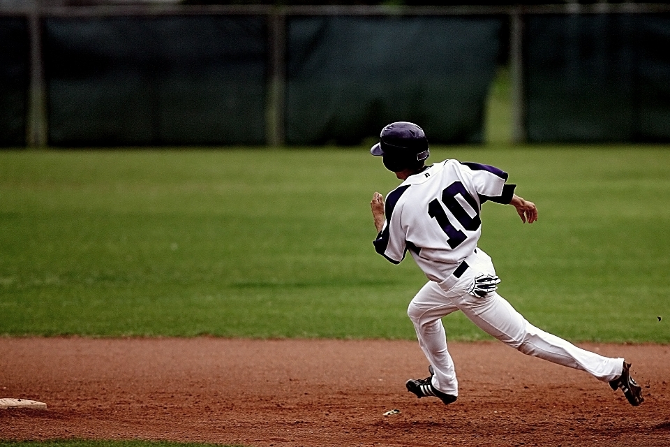 Césped béisbol deporte campo