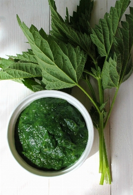 Plant dish food green Photo