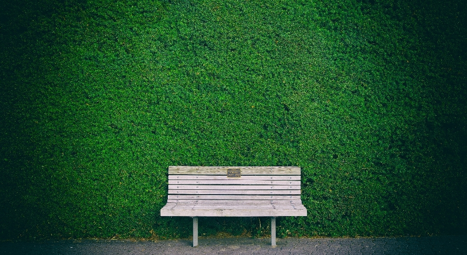 Grass light bench sunlight