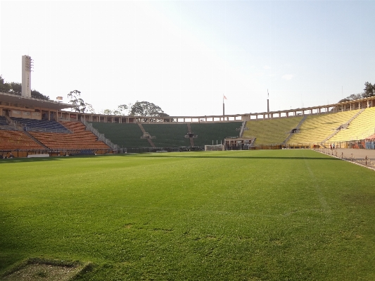 Photo Herbe structure pelouse stade