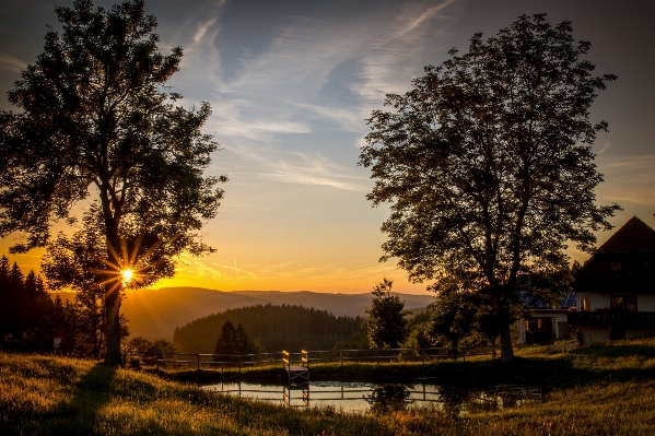 Foto Paesaggio albero acqua natura