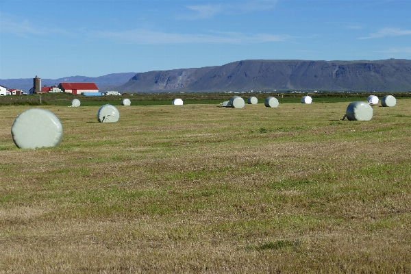 Landscape nature grass hay Photo