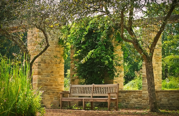 Landscape tree nature architecture Photo