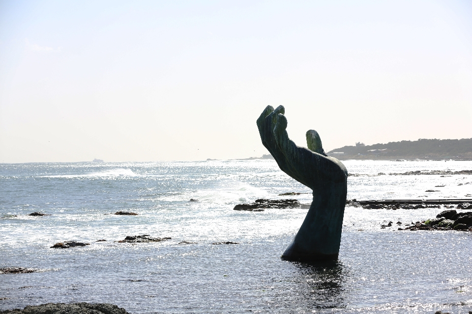 ビーチ 海 海岸 海洋