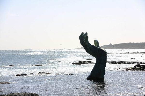 Beach sea coast ocean Photo