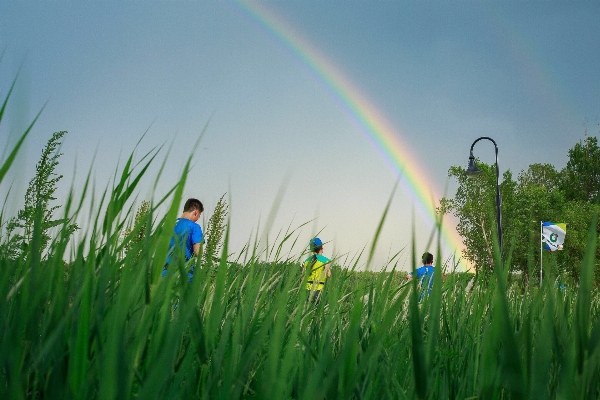 Nature grass sky field Photo