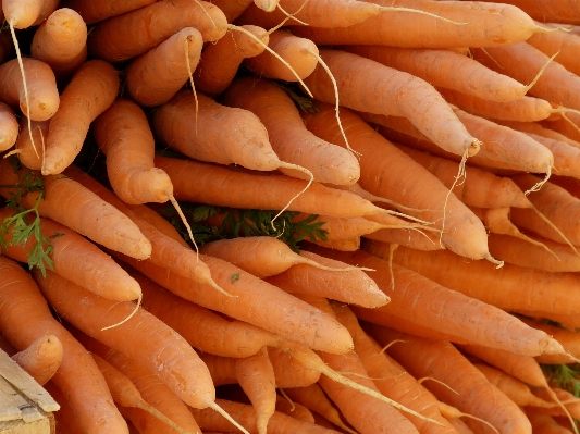 Foto Cibo raccolto produrre verdura