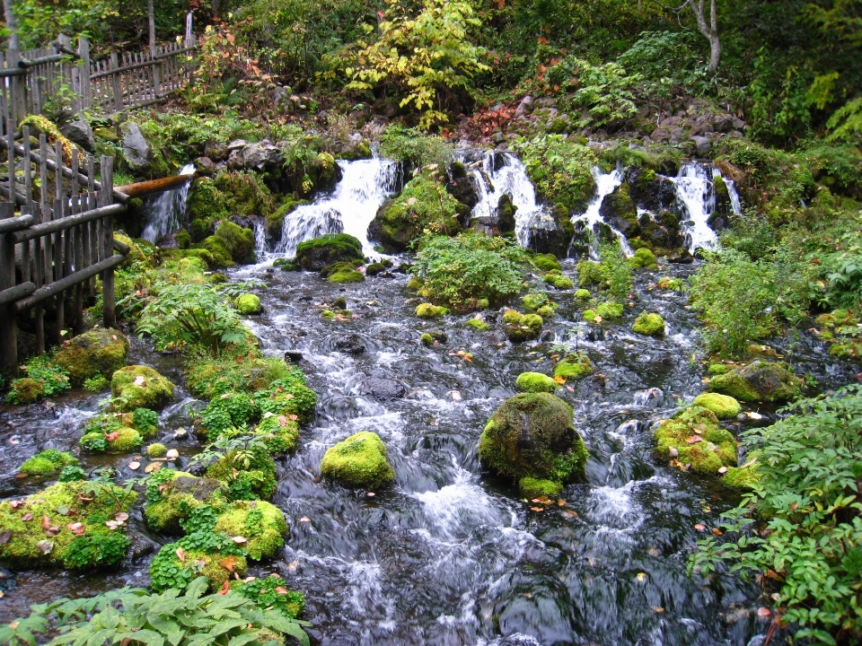 Eau nature forêt rock