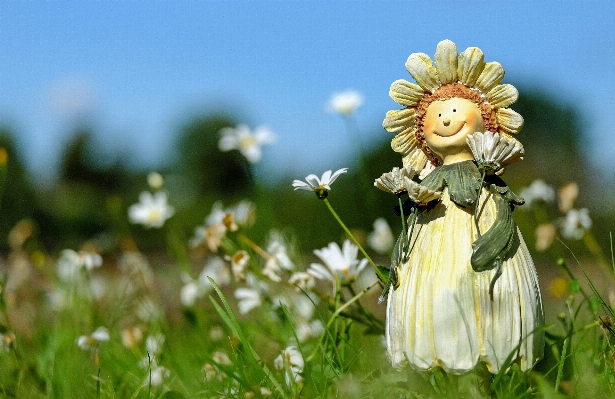 自然 草 花 植物 写真