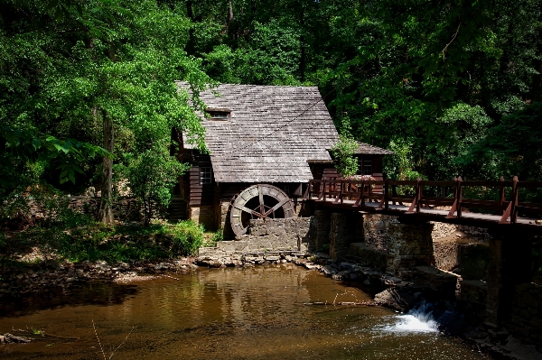 Landscape water nature forest Photo