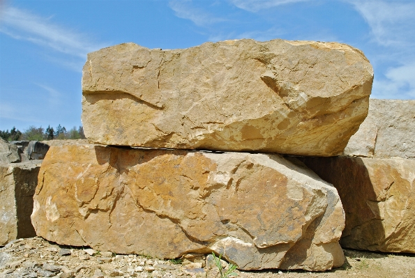 Rock 木 形成 土壌 写真