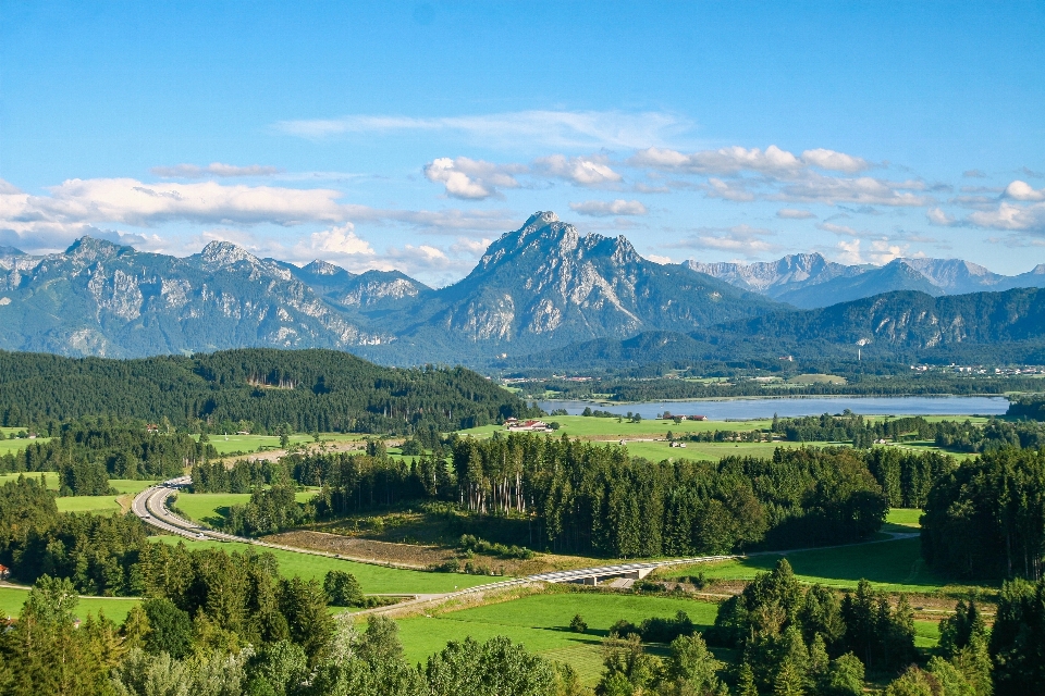 Landscape nature forest mountain