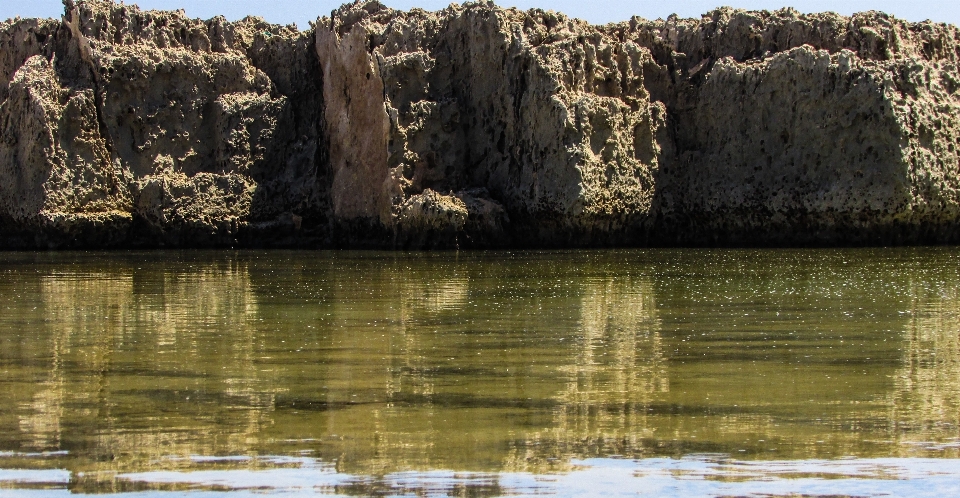 Paesaggio albero acqua rock