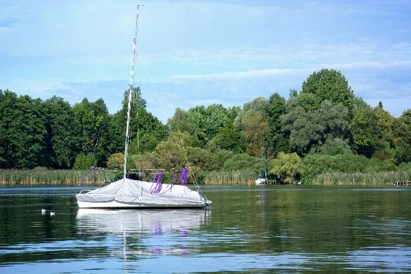 Foto Paisagem natureza barco lago