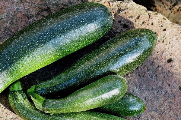 Foto Tanaman bunga makanan hijau