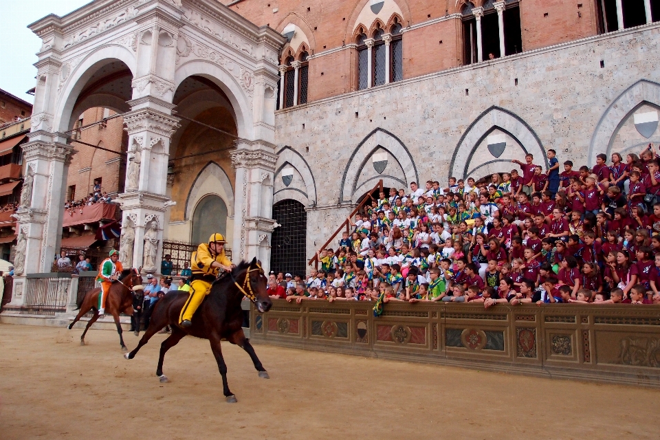 Persone folla cavallo turismo