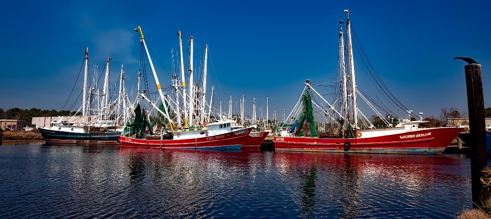 Laut dock kapal cerminan