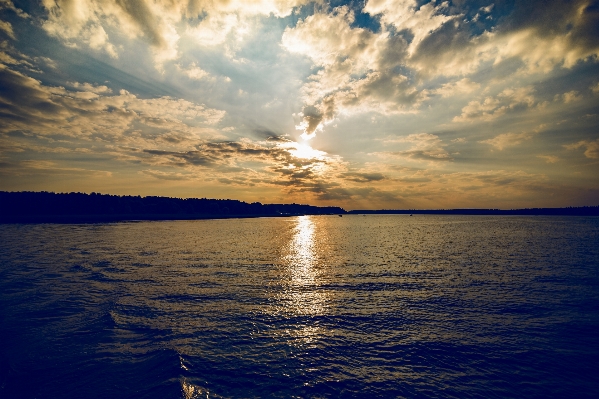 Landscape sea tree water Photo