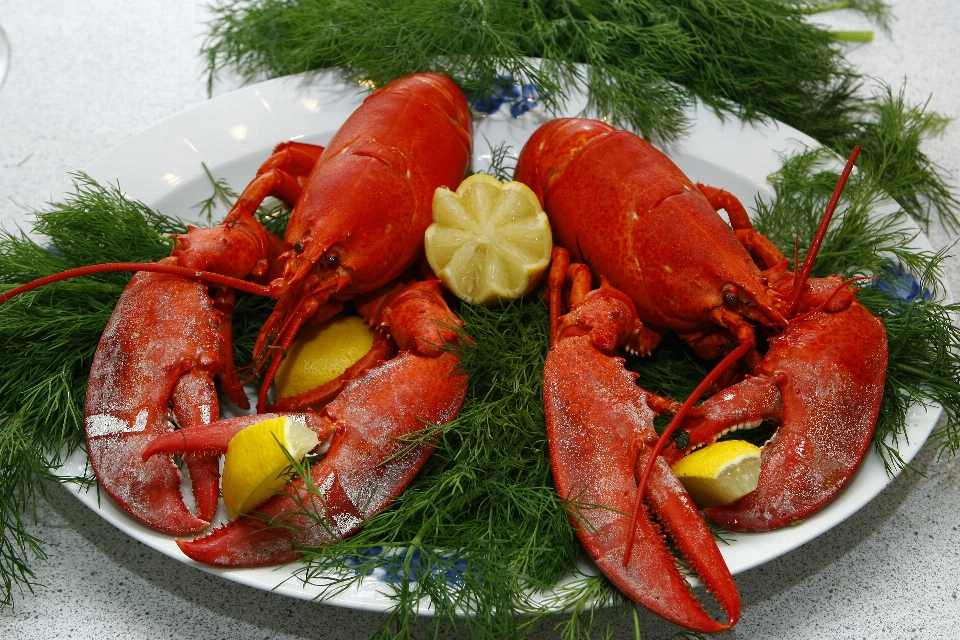 盘子 食物 生产 海鲜