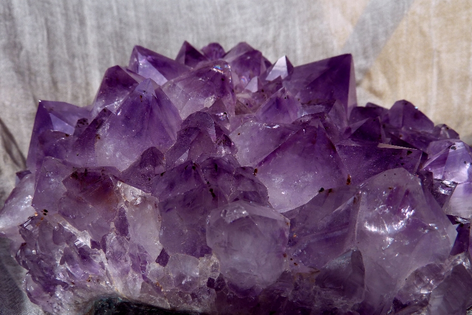 Nature purple petal stone