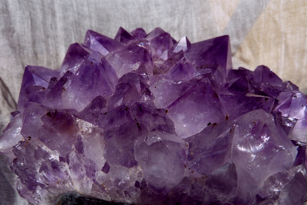 Nature purple petal stone Photo