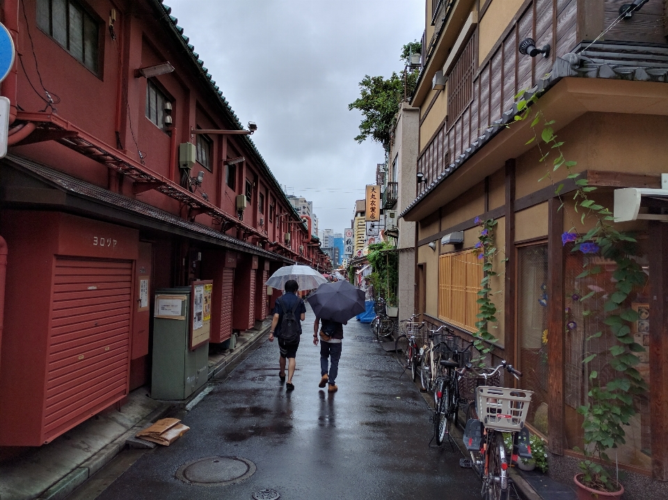 歩行者 道 街 雨