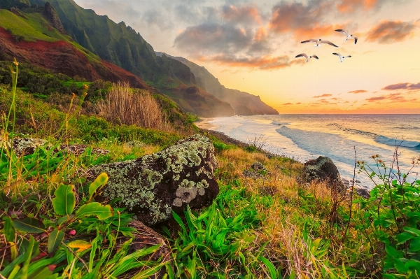 Beach landscape sea coast Photo