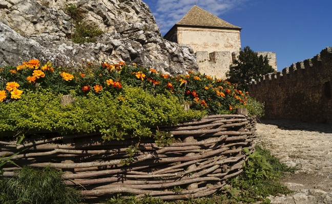 Landscape nature rock plant Photo