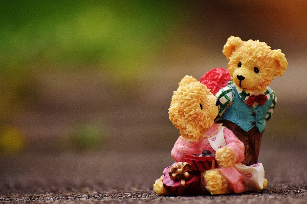 Flower cute bear love Photo