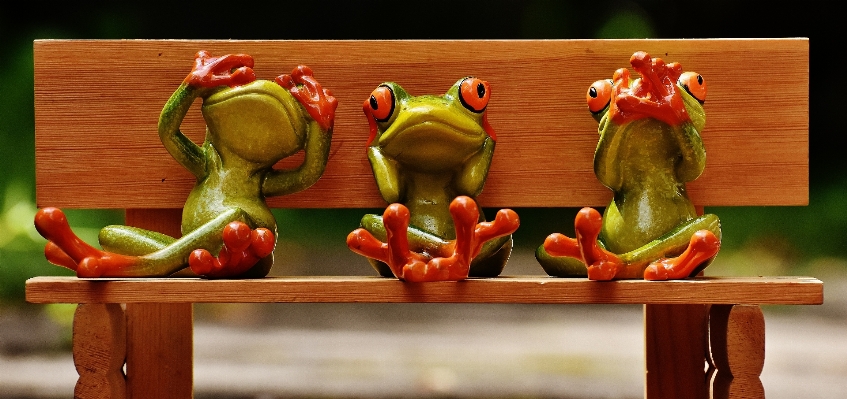 Wood bench cute green Photo