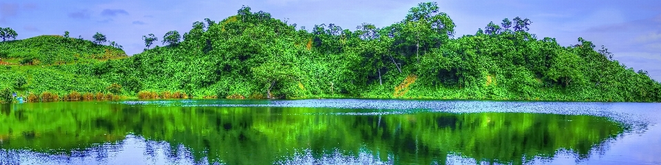 пейзаж дерево вода природа