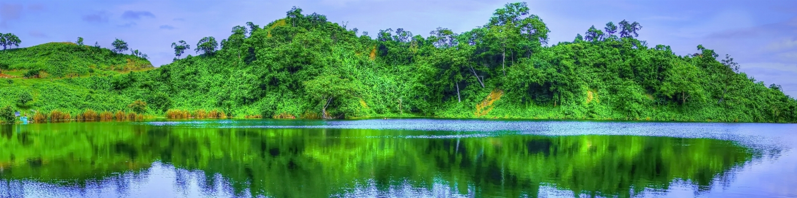 風景 木 水 自然 写真