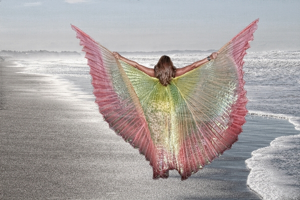 Beach sea sand wing Photo