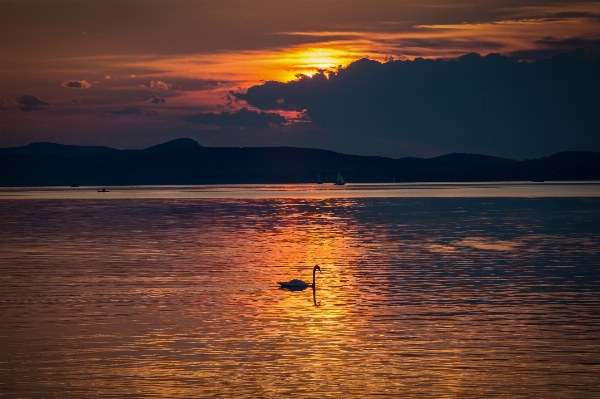 Landscape sea coast water Photo