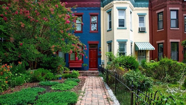 Architecture lawn house flower Photo