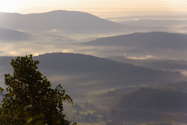 Landscape nature horizon wilderness Photo