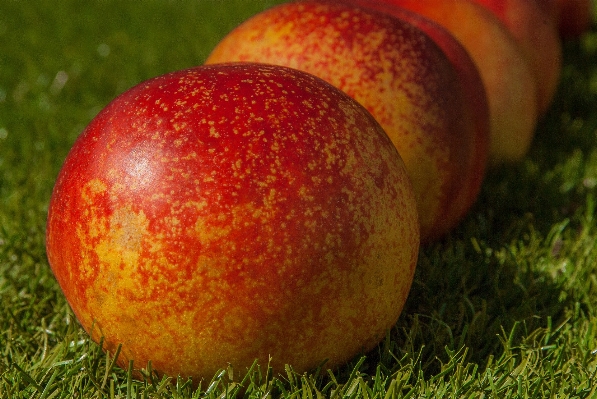 Apple 植物 フルーツ 食べ物 写真