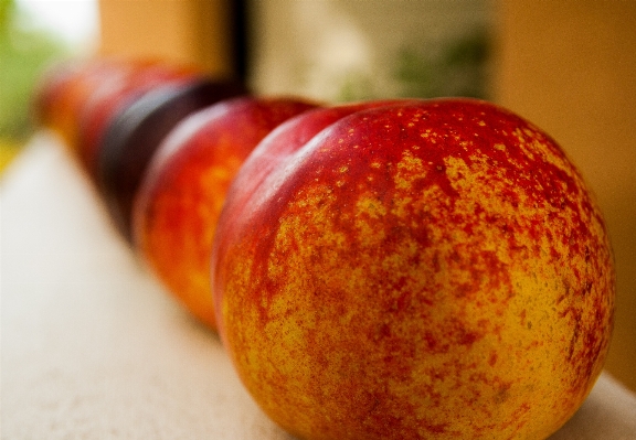 Apple 植物 フルーツ 食べ物 写真