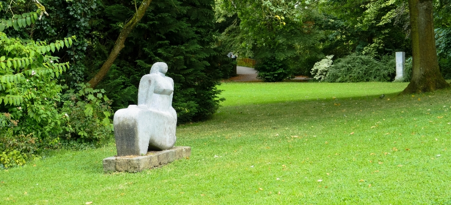 Grass woman lawn meadow Photo