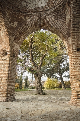 Ağaç mimari odun bina Fotoğraf