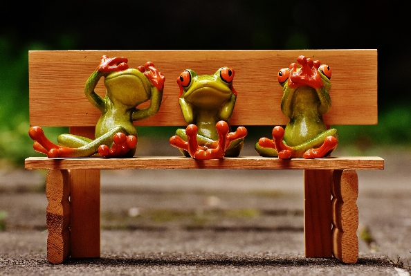 Wood bench cute green Photo