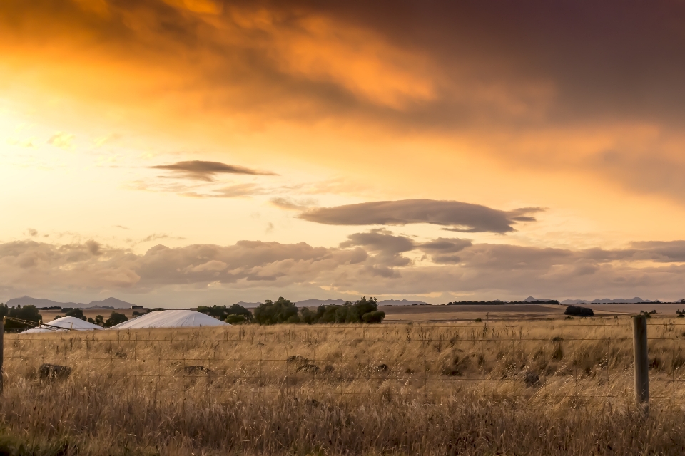 Paysage nature extérieur horizon