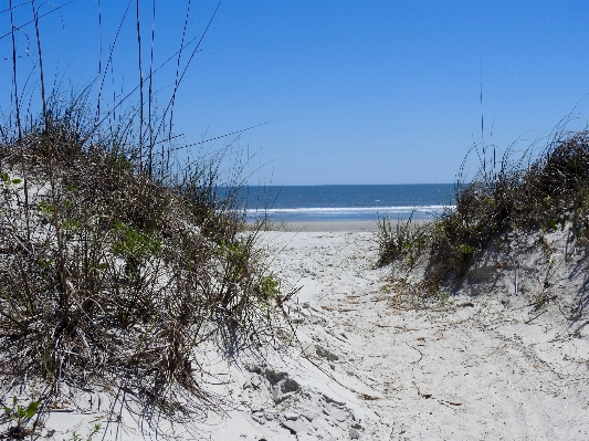 Beach landscape sea coast Photo