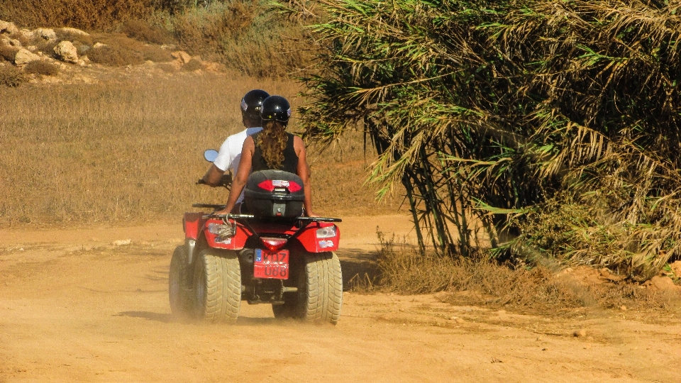 Landscape nature sand trail