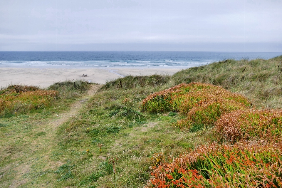 Beach landscape sea coast